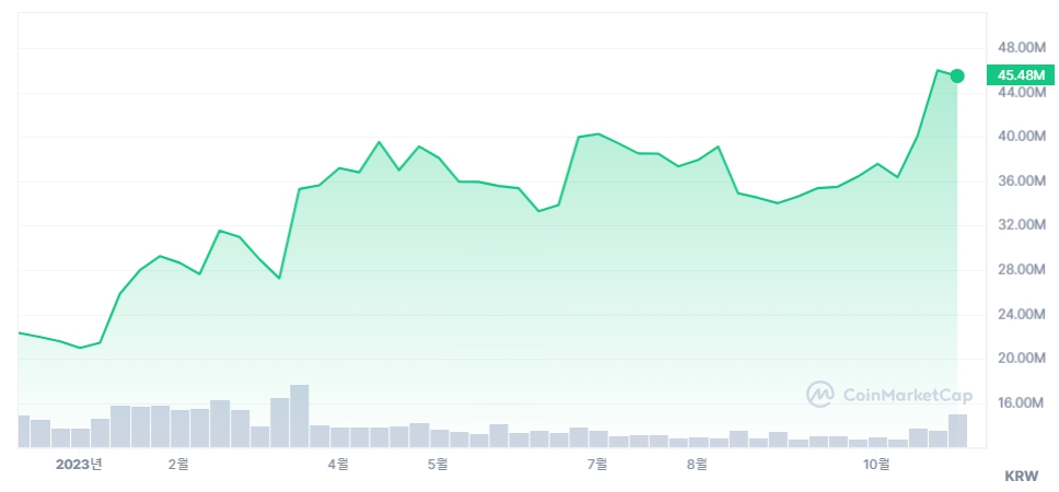 올해 비트코인 가격 추이. /사진=코인마켓캡.