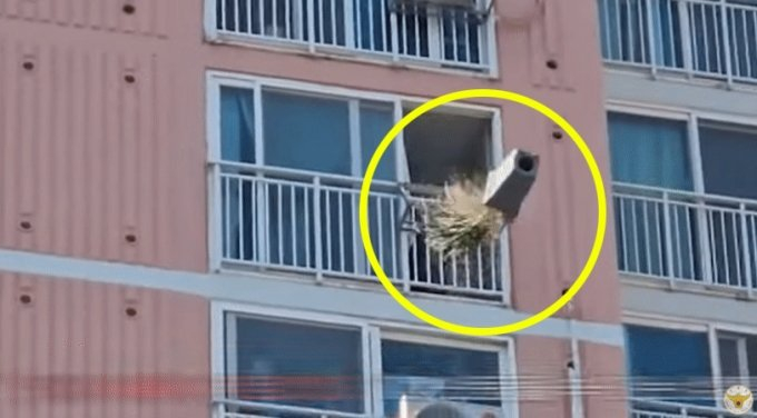 30대 남성이 아파트 베란다에서 화분을 던지며 난동을 부리고 있다. /사진=유튜브 채널 '경찰청' 캡처