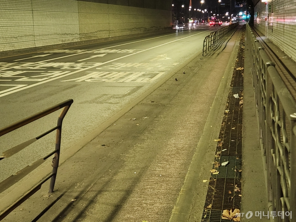 자전거 전용도로를 만들어놨지만 제대로 관리되지 않는 경우도 적지 않다. 지난 13일 서울 마포구 월드컵터널에 마련된 자전거 전용도로에는 차도와 자전거 전용도로를 구분하기 위해 펜스가 설치돼 있었지만 5~7m 정도 펜스가 끊어진 곳도 있었다. 자전거 전용도로 안쪽으로 휘어진 펜스도 여럿 보였다./사진=최지은 기자  