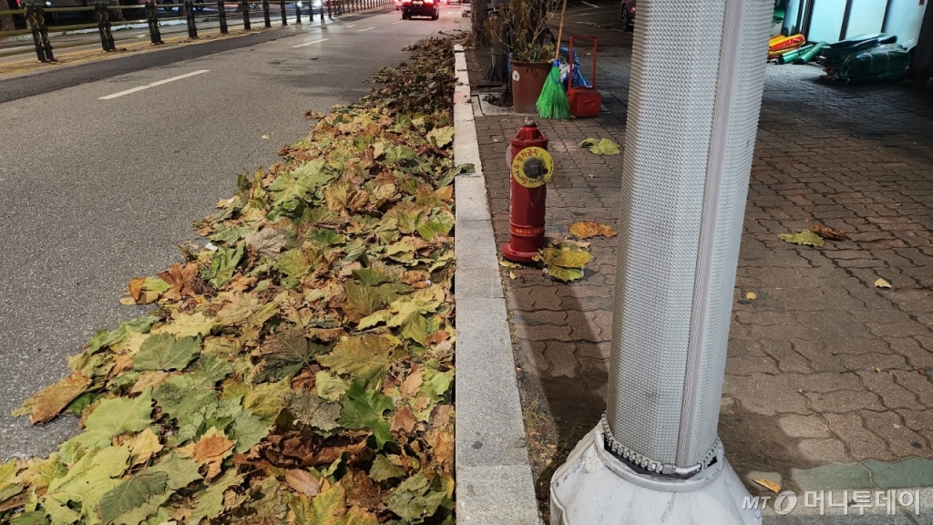 서울 영등포구 문래동. 플라타너스 낙엽이 차도 길가에 일렬로 정리돼있는 모습. /사진=이병권 기자