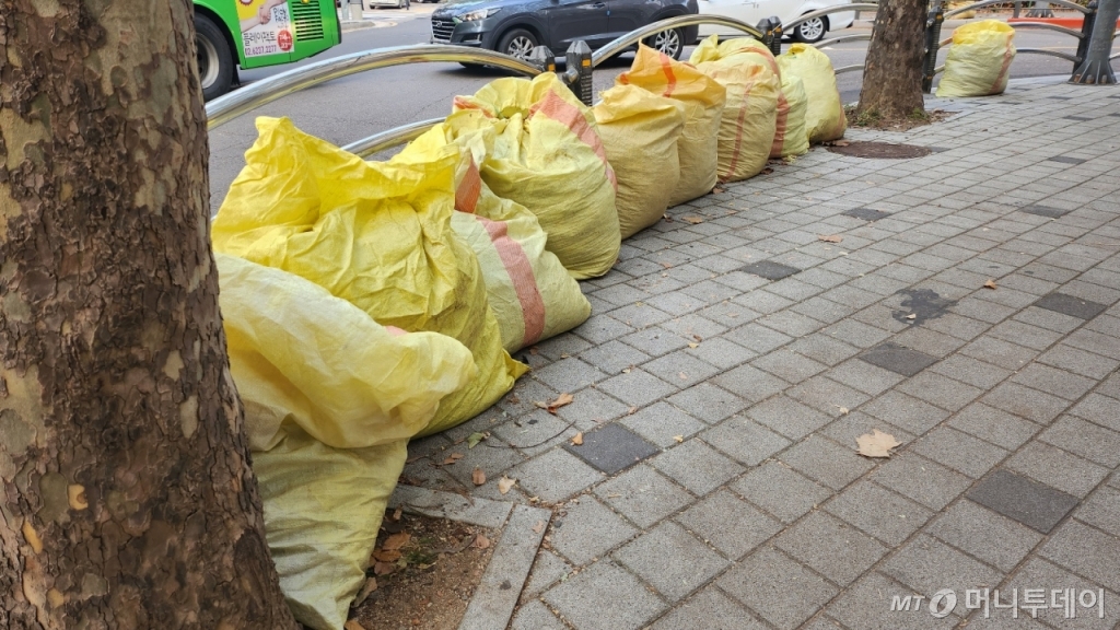 마대 자루에 담긴 낙엽이 한 곳에 모여있는 모습. /사진=이병권 기자