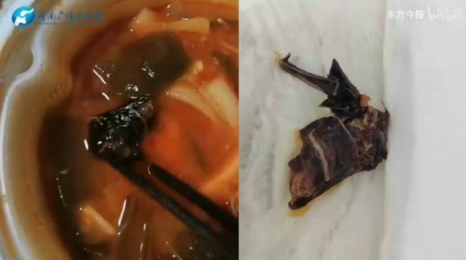 중국 유명 식당의 레토르트 마라탕에서 박쥐 날개로 추정되는 이물질이 나왔다. /사진=빌리빌리 캡처