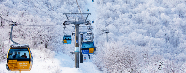 모나 용평리조트 발왕산 케이블카/사진제공=모나 용평리조트