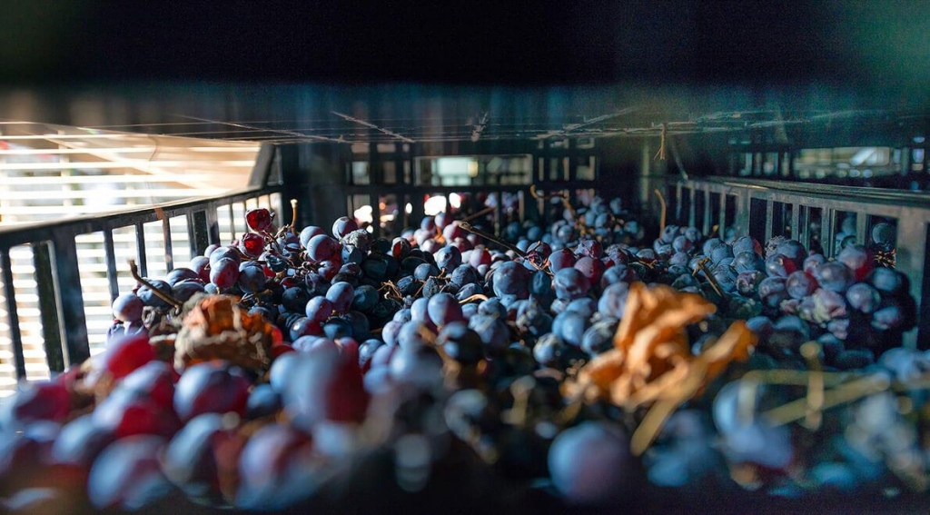 아파시멘토 방식/사진제공=에프엘코리아 수입사