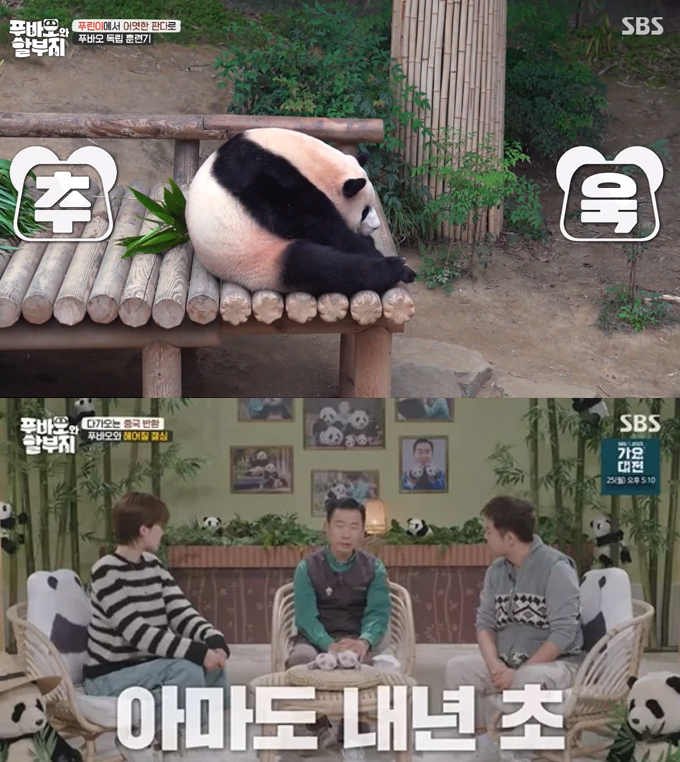 /사진=SBS '푸바오와 할부지' 방송 갈무리
