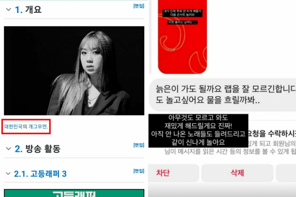 /사진=온라인 커뮤니티, 이영지 인스타그램 캡처