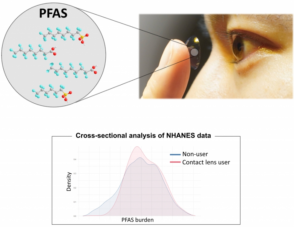 콘택트렌즈 사용 시 과불화화합물 노출 모식도와 분석 그래프./사진=고려대학교