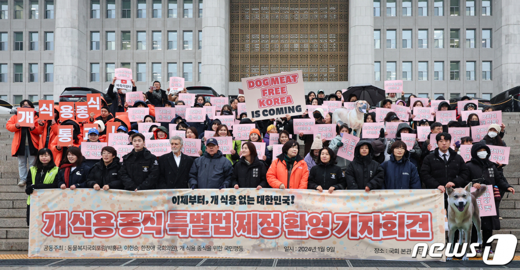 (서울=뉴스1) 김도우 기자 = 개 식용 종식을 위한 국민행동 활동가들이 9일 서울 여의도 국회 본관 계단 앞에서 개식용 종식 특별법 제정 환영 기자회견을 하고 있다.  국회는 이날 본회의에서 '개의 식용 목적의 사육·도살 및 유통 등 종식에 관한 특별법' 제정안을 의결했다.  제정안은 식용을 목적으로 개를 사육·증식하거나 도살하는 행위, 개나 개를 원료로 조리·가공한 식품을 유통·판매하는 행위를 금지하는 것이 골자다.  사육·도살·유통 등의 금지와 위반 시 벌칙 조항은 법안 공포 후 3년이 지난 날부터 시행된다. 2024.1.9/뉴스1  Copyright © 뉴스1. All rights reserved. 무단 전재 및 재배포,  AI학습 이용 금지.