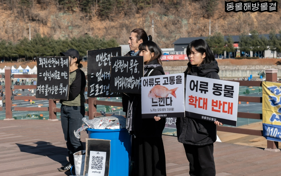 /사진=동물해방물결