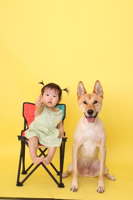 우린 이리 좋은 가족이 됐다고. 크리스마스날에./사진=홍삼이 보호자님