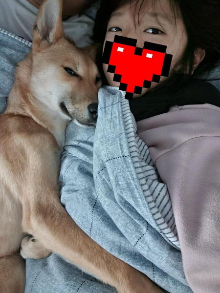 엄마 품이 제일 좋지요, 따뜻하고./사진=홍삼이 보호자님