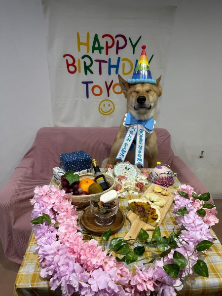 세상에 필요 없는 존재는 없다고, 있는 그대로 아름답다고, 태어나줘서 고맙다고. 홍삼이네 가족, 오래오래 건강하기를. 무탈히 안녕한 날들이 계속되기를./사진=홍삼이 보호자님