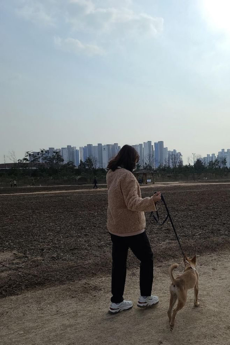 산책도 잘하는 홍삼이. 보호자 곁이라면 그저 좋다./사진=홍삼이 보호자님