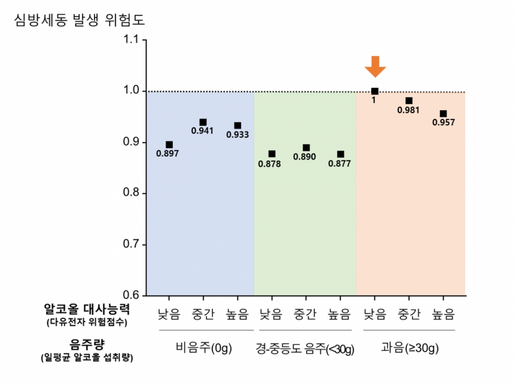 일평균 음주량과 알코올 대사능력에 따른 심방세동 발생 위험을 비교한 표. 과음하면서 알코올 대사능력이 '낮음' 그룹이 심방세동 발생 위험도가 1로 가장 높다./사진= 서울대병원
