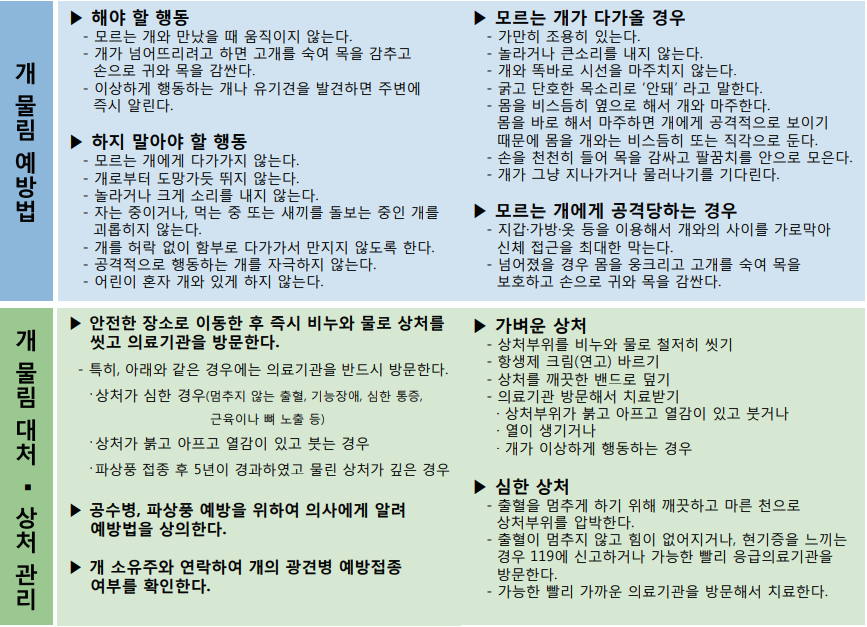 질병관리청 '주간 건강과 질병' 제10권 제45호에 게재된 '응급실 손상환자 심층조사를 통한 개 물림 발생 현황 및 개 물림 예방법' 내용. /사진=보고서 갈무리