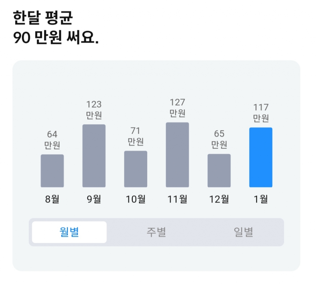 기자의 작년 8월부터 올해 1월까지 카드 사용 내역. 매달 25일을 결제일로 설정해두고 있어 체계적인 소비에 어려움을 겪는다./사진=황예림 기자