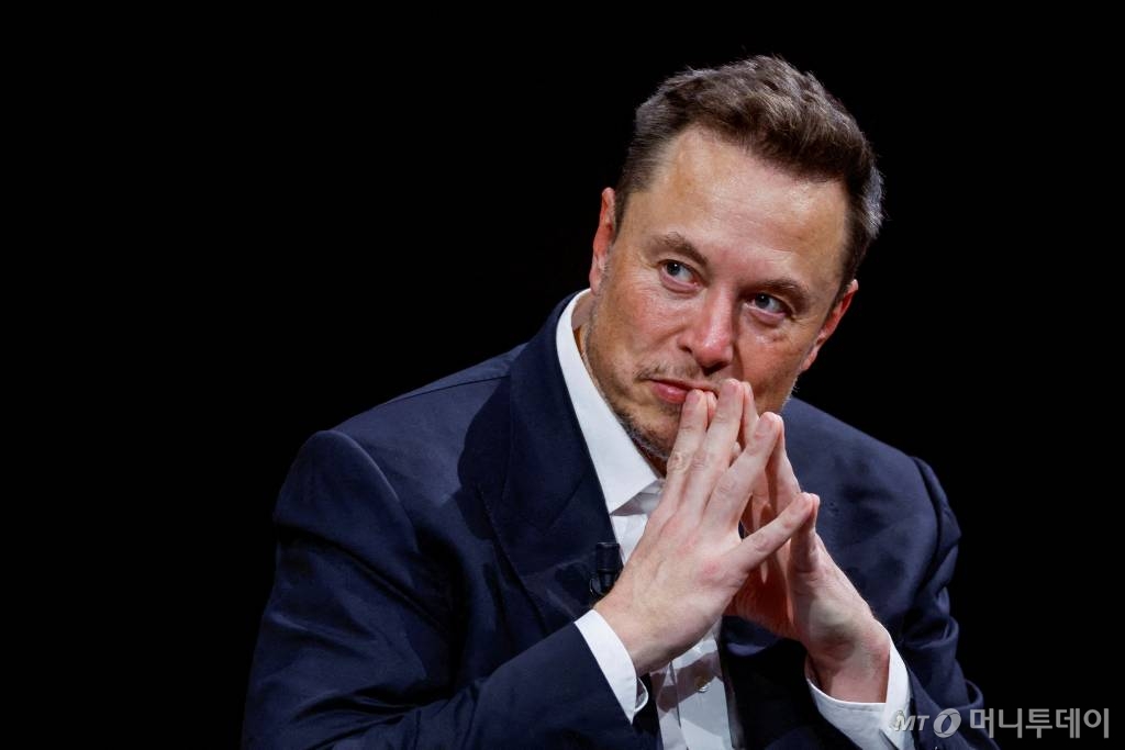 일론 머스크 테슬라 CEO(최고경영자)
