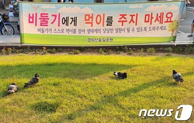 서울 시내 공원에 비둘기에게 먹이를 주지 말아달라는 현수막이 붙어있다. /사진=뉴스1