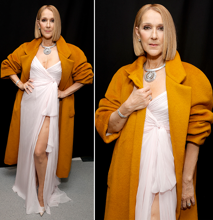 팝 가수 셀린 디온./AFPBBNews=뉴스1