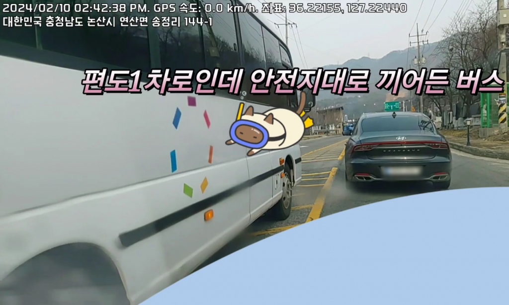 /사진=온라인 커뮤니티 '보배드림'