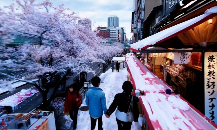 오픈AI의 영상제작AI '소라'의 샘플 영상/사진=오픈AI  
