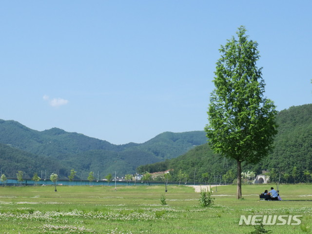 경기 가평군 자라섬 잔디광장 모습./사진=뉴시스