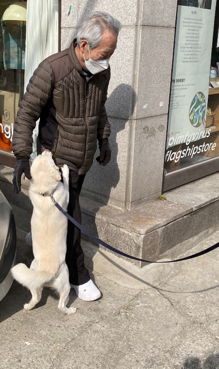 다시 건강해진 행운이가 할아버지를 보자 환해졌다. 늘 그랬듯 다가가 두 발로 섰고, 맘껏 꼬릴 흔들었다. 수술 받지 않으면, 짧으면 며칠에서 몇 달이라던 행운이가 이리 웃는다. 모두가 한마음으로 도왔기에 가능했던 일. 두 단짝의 삶을 이어가게 해준 건 여러분이다./사진=행운이와 할아버지 응원 모임에 있는 남형도 기자