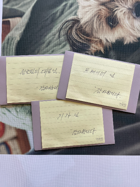 할아버지가 우리를 위해 남겨준 기프트카드. 너무 미안하고 고맙다는 말씀을, 얼마나 많이 했는지./사진=장신재 정글핌피 대표