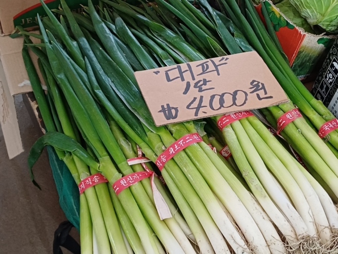10일 경동시장의 대파 한 단 가격. 가장 싼 곳도 3500원 밑으로는 찾아보기 힘들다. /사진=오석진 기자 