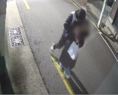 지난달 6일 한 남성이 여성의 뒷목을 누른 채로 길을 걸어가고 있다. /사진=독자제공