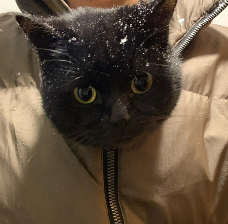 눈 오는 날, 점퍼에 쏙 들어간 용식이. 까만 얼굴에 흰 눈이라니 사랑스럽다./사진=용식이 보호자님