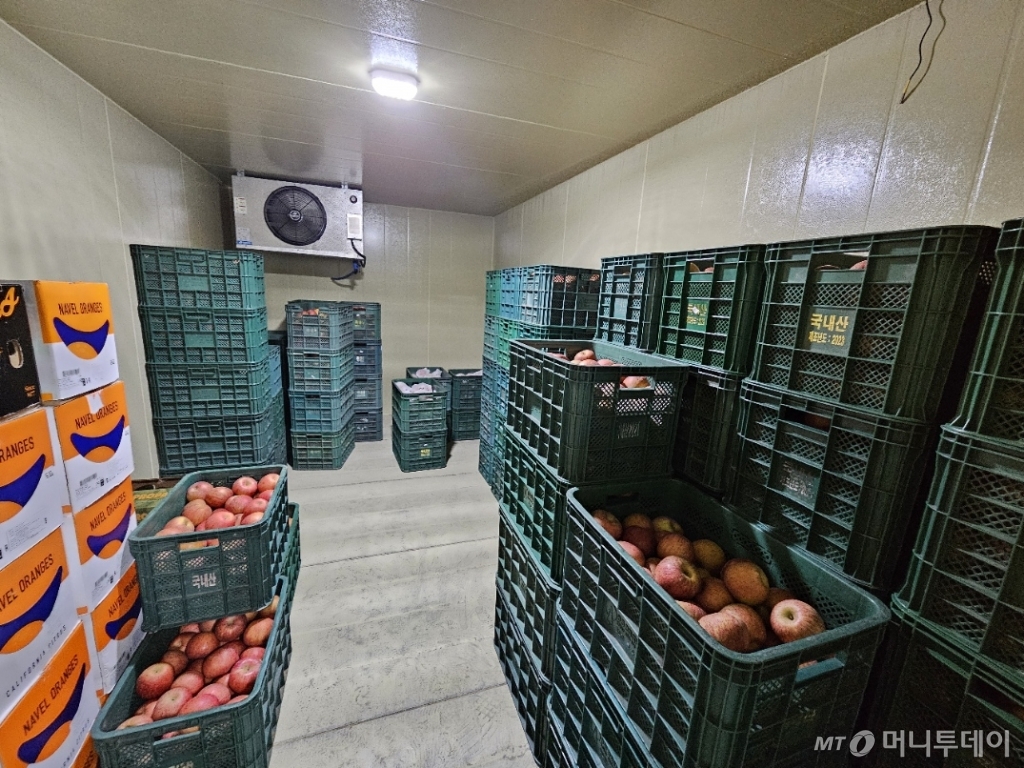 20일 오전 경기 화성시 냉장 창고에 보관 중인 사과./사진=정세진 기자