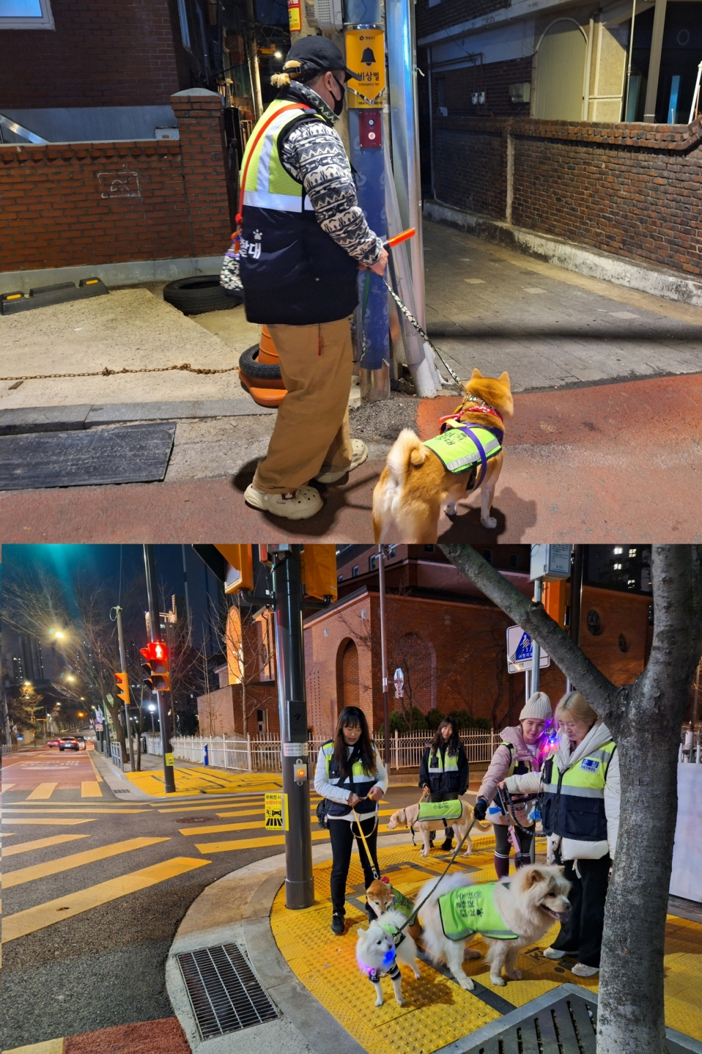 (위) 반려견 순찰 활동을 하면서 골목길 비상벨 점검하는 모습. (아래) 초등학교 앞 횡단보도를 노란색으로 바꿔달라는 신고 조치 이후 개선된 모습. /사진=김지은 기자