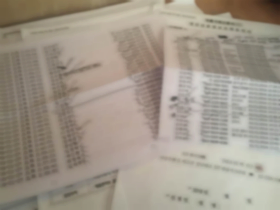 보이스피싱 조직이 가지고 있던 고액 피해자 800명의 명단. 김성자씨가 확보해 경찰에 제보했다. /사진제공=김성자씨