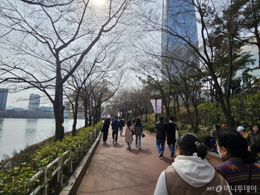 27일 오후 서울 송파구 석촌호수. 벚꽃축제가 시작됐지만 꽃이 거의 피지 않았다. /사진=정세진