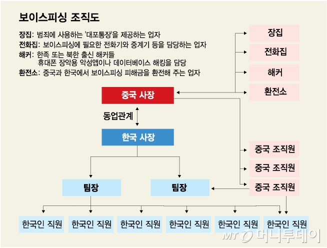 보이스피싱 조직도_/그래픽=김다나