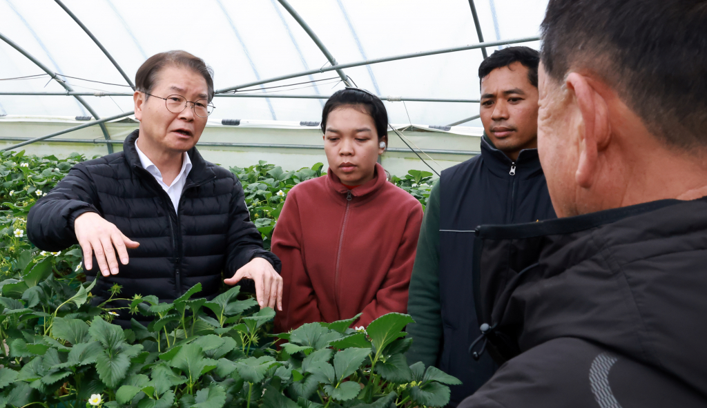 이정식 고용노동부 장관이 충남 논산시의 한 딸기 농장을 찾아 외국인 근로자와 농장주 등 관계자들과 대화하고 있다./사진제공=고용노동부