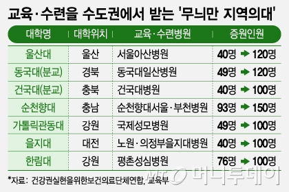 교육·수련을 수도권에서 받는 '무늬만 지역의대'/그래픽=조수아