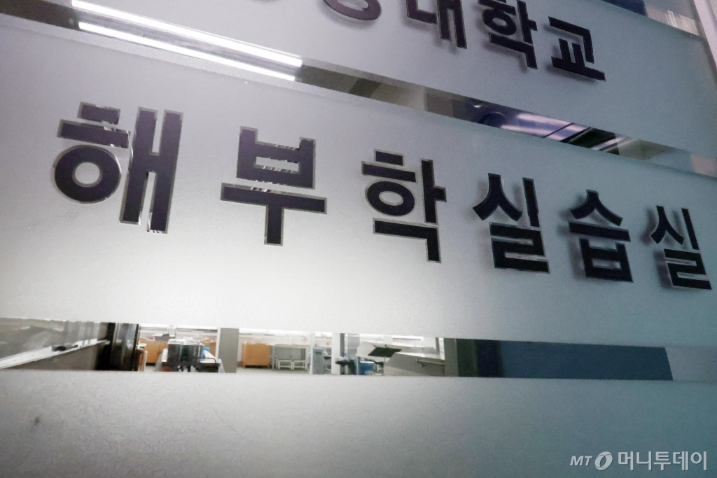 (서울=뉴스1) 민경석 기자 = 정부가 의대 정원 대학별 배정 결과를 확정한 20일 서울의 한 의과대학 해부학실습실이 한산한 모습을 보이고 있다. 정부는 증원 인원 2000명을 비수도권에 82%, 경기·인천 지역에 18% 배정했다. 서울은 제외됐다. 2024.3.20/뉴스1 Copyright © 뉴스1. All rights reserved. 무단 전재 및 재배포, AI학습 이용 금지. /사진=(서울=뉴스1) 민경석 기자