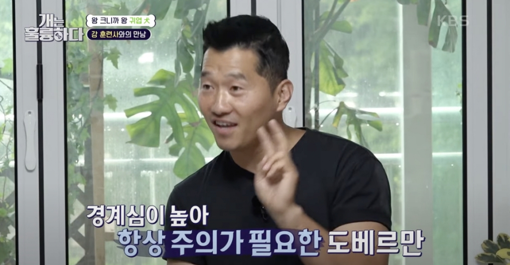 지난해 7월 방영된 KBS 개는 훌륭하다 방송편 일부./사진=KBS '개는 훌륭하다' 캡처