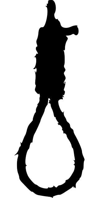 교수형에 쓰이는 밧줄 이미지/사진=픽사베이