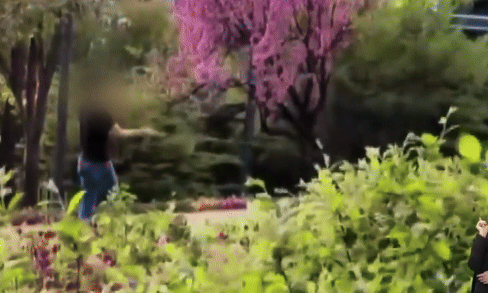 서울 한 공원에서 남성이 낚시 연습을 하고 있다. /사진=JTBC '사건반장' 캡처