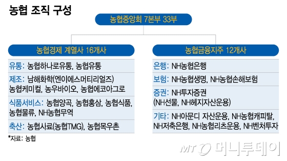 농협 조직 구성/그래픽=이지혜