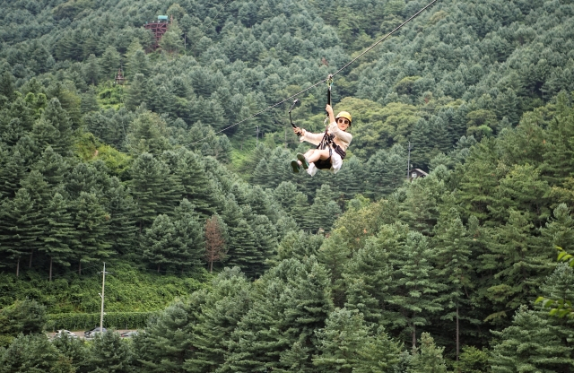 가평 브릿지짚라인