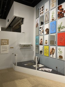 스미소니언에 전시되었던 앤드루 양의 전시 사진 Flying Garden of Maybe.
