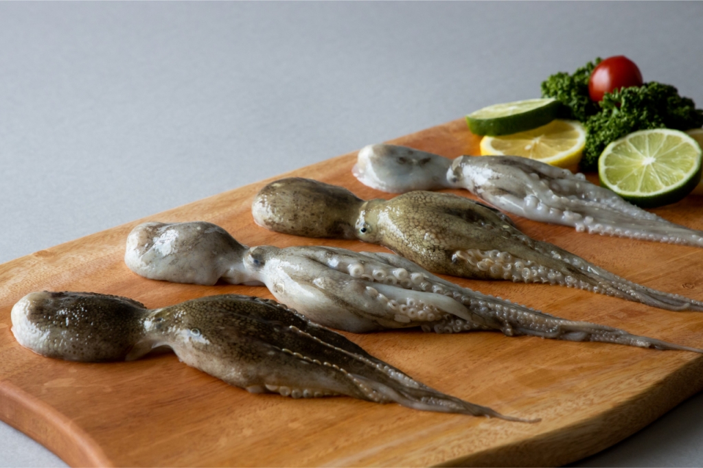 /사진제공=수협중앙회