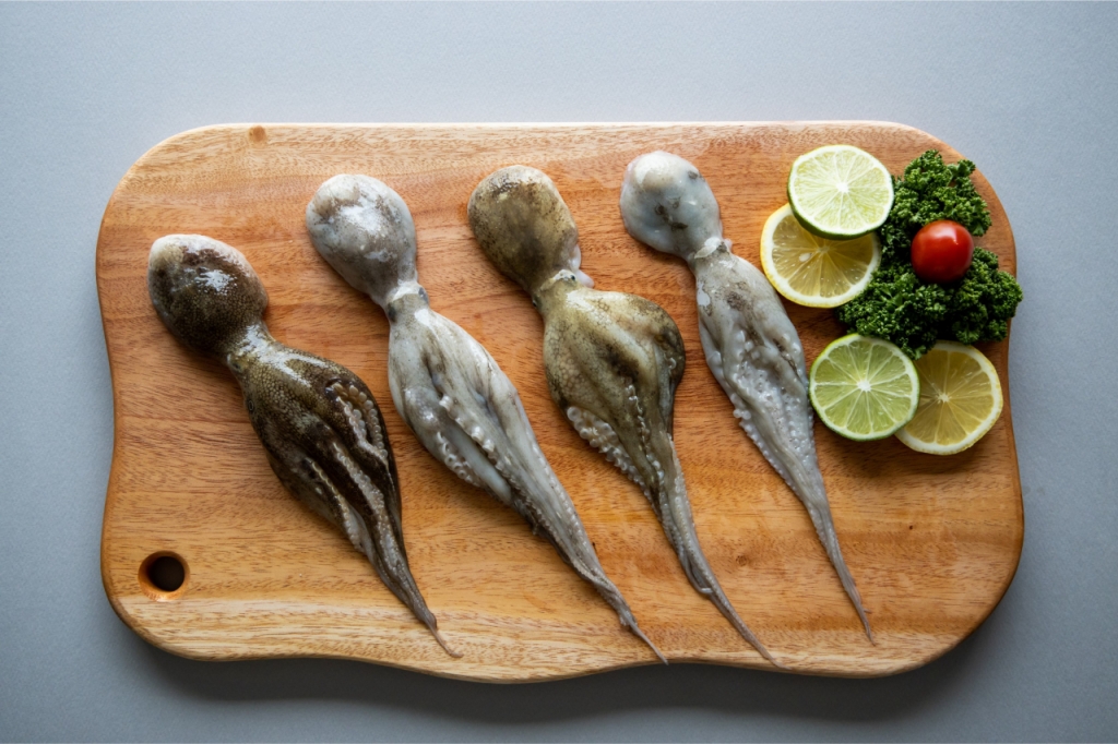 /사진제공=수협중앙회