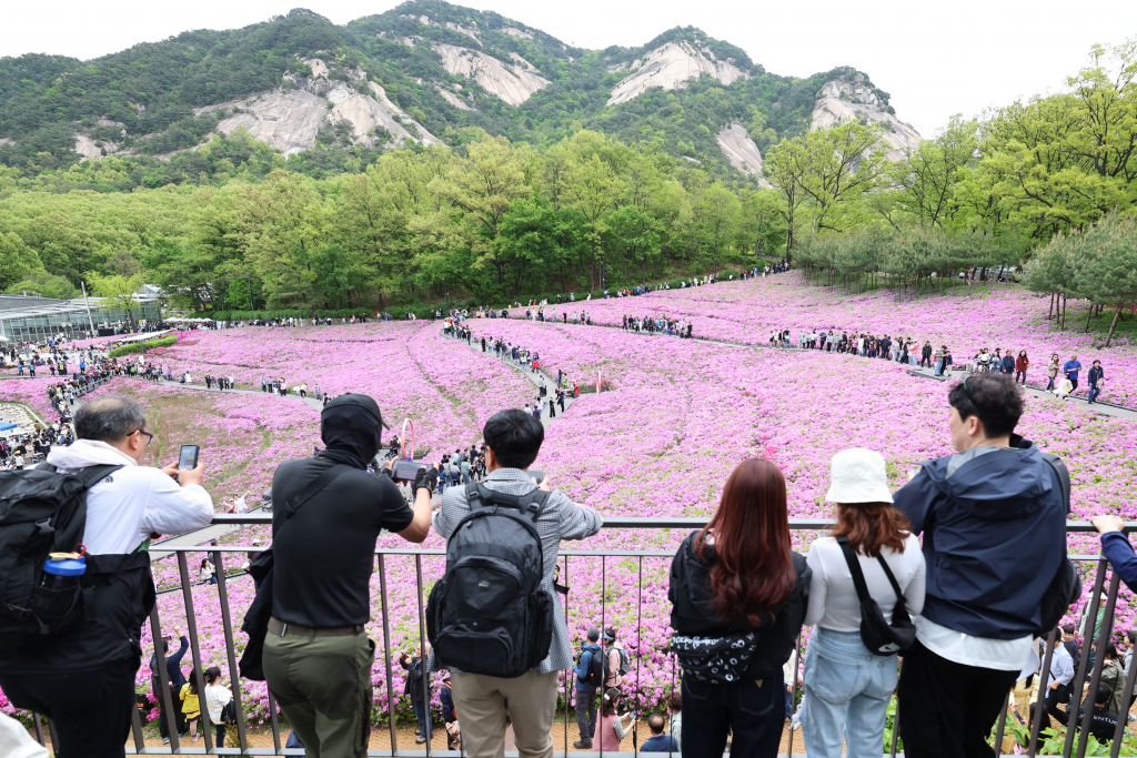 지난 21일 오후 서울 노원구 불암산 힐링타운 인근에서 열린 2024 불암산 철쭉제를 찾은 시민들이 만개한 철쭉을 구경하고 있다. /사진=뉴시스
