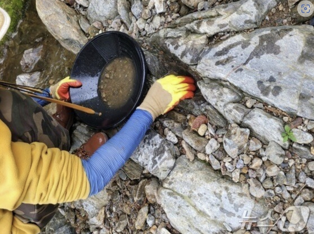 충북 영동군 상촌면 물한계곡 일원에서 사금을 채취하고 있는 장면/사진=뉴스1,  독자 제공