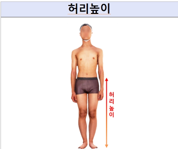 허리높이 예시/사진=국가기술표준원
